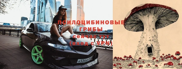 прущие крисы Горно-Алтайск