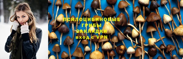 прущие крисы Горно-Алтайск